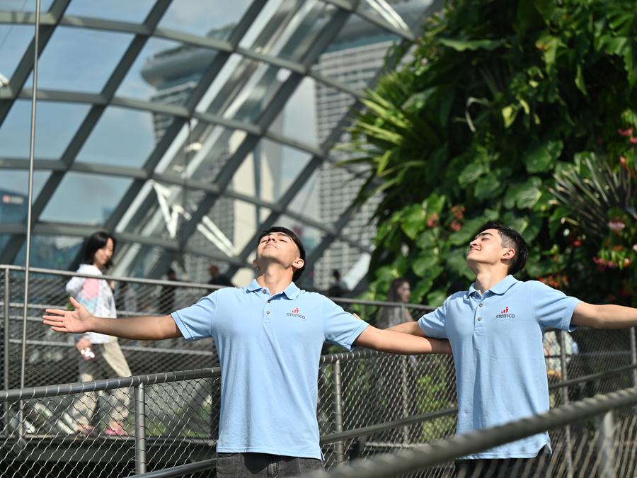 Gardens by the Bay · Supertrees