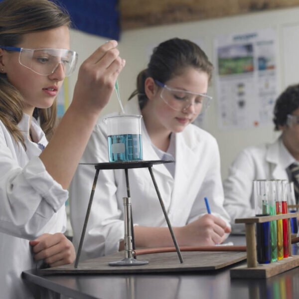 Is your child excelling in STEM?