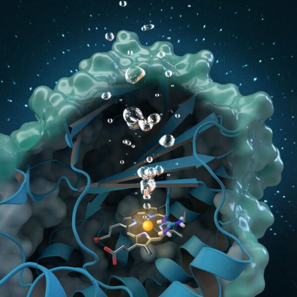 Material Spotlight: Nanozymes