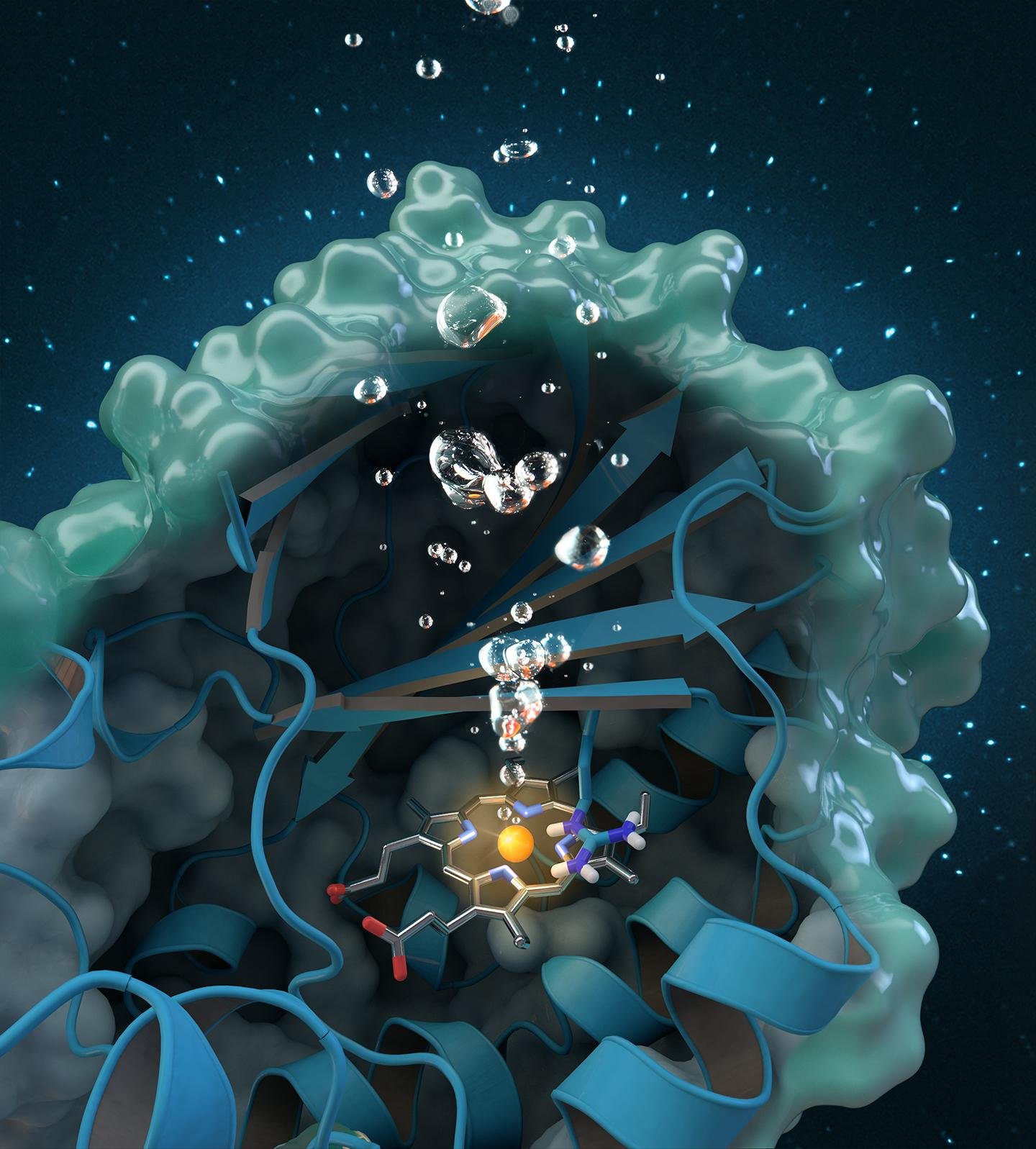Material Spotlight: Nanozymes